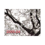 2009年4月　桜も資格も満開ですぞ！