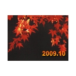 2009年10月　資格カレンダーMEGAMIX!!![1]